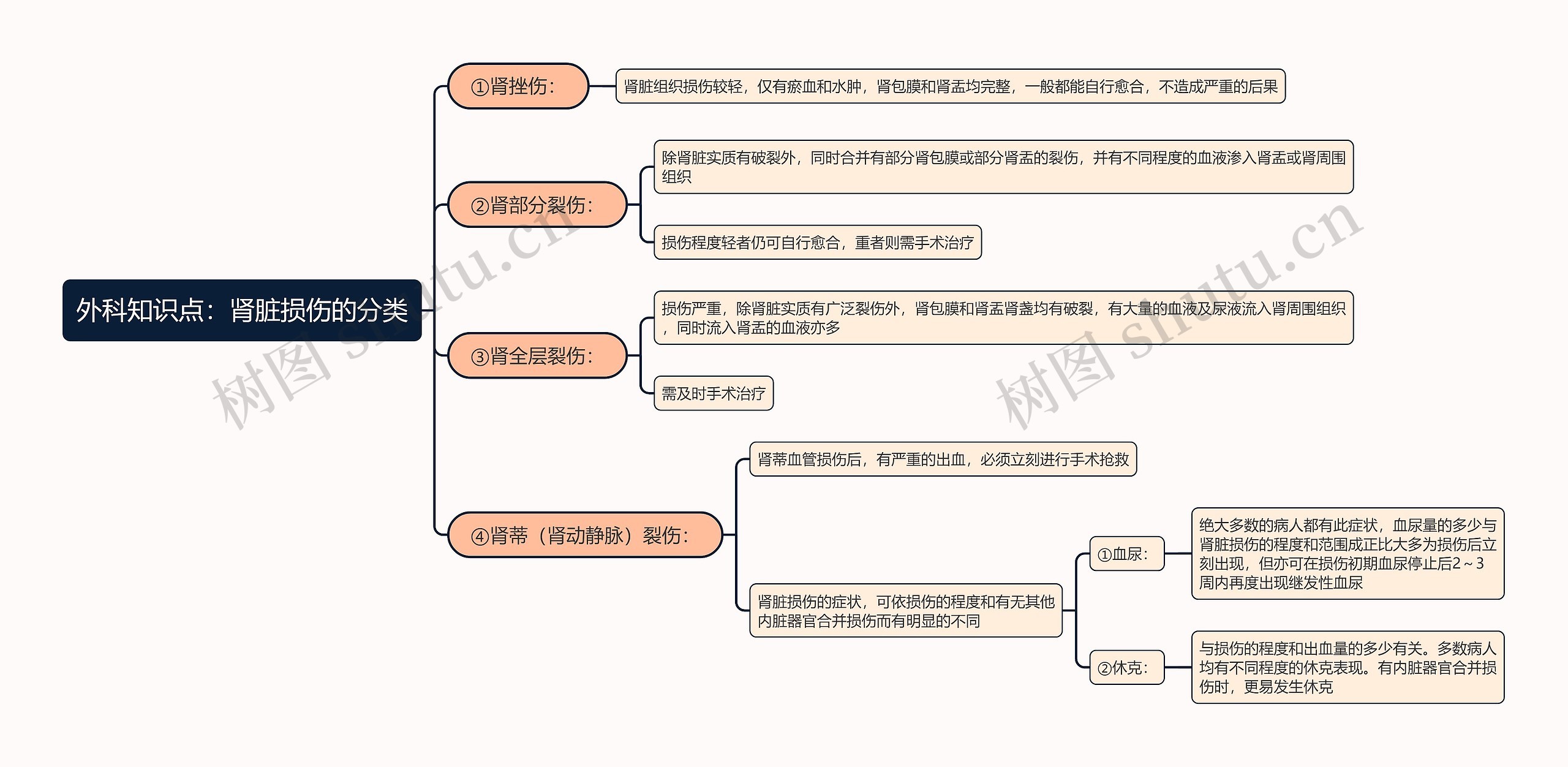 外科知识点:肾脏损伤的分类思维导图高清图 外科知识点:肾脏损伤的分类思维导图