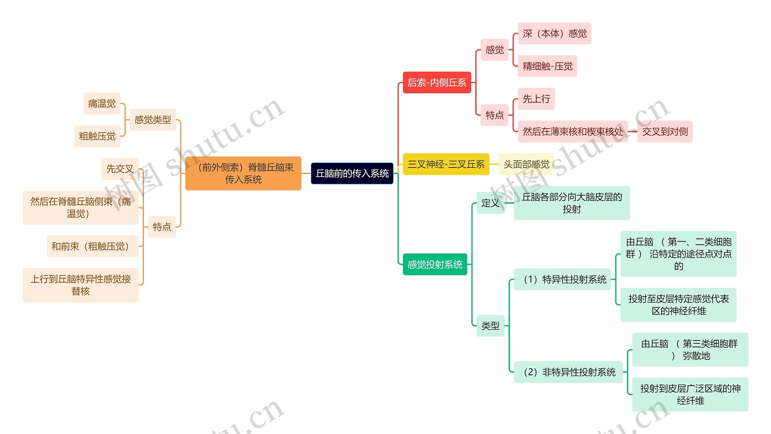 医学知识丘脑前的传入系统思维导图