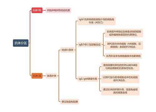 医学知识抗体分区思维导图