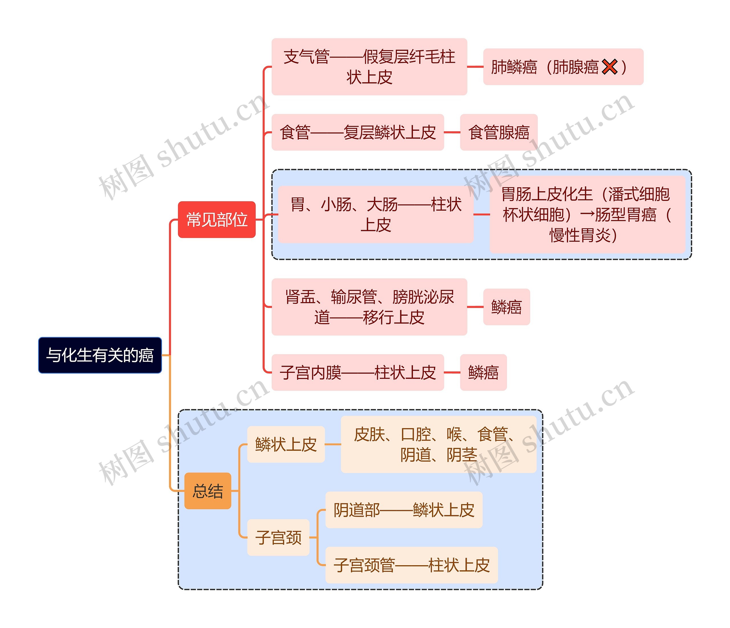 医学知识与化生有关的癌思维导图