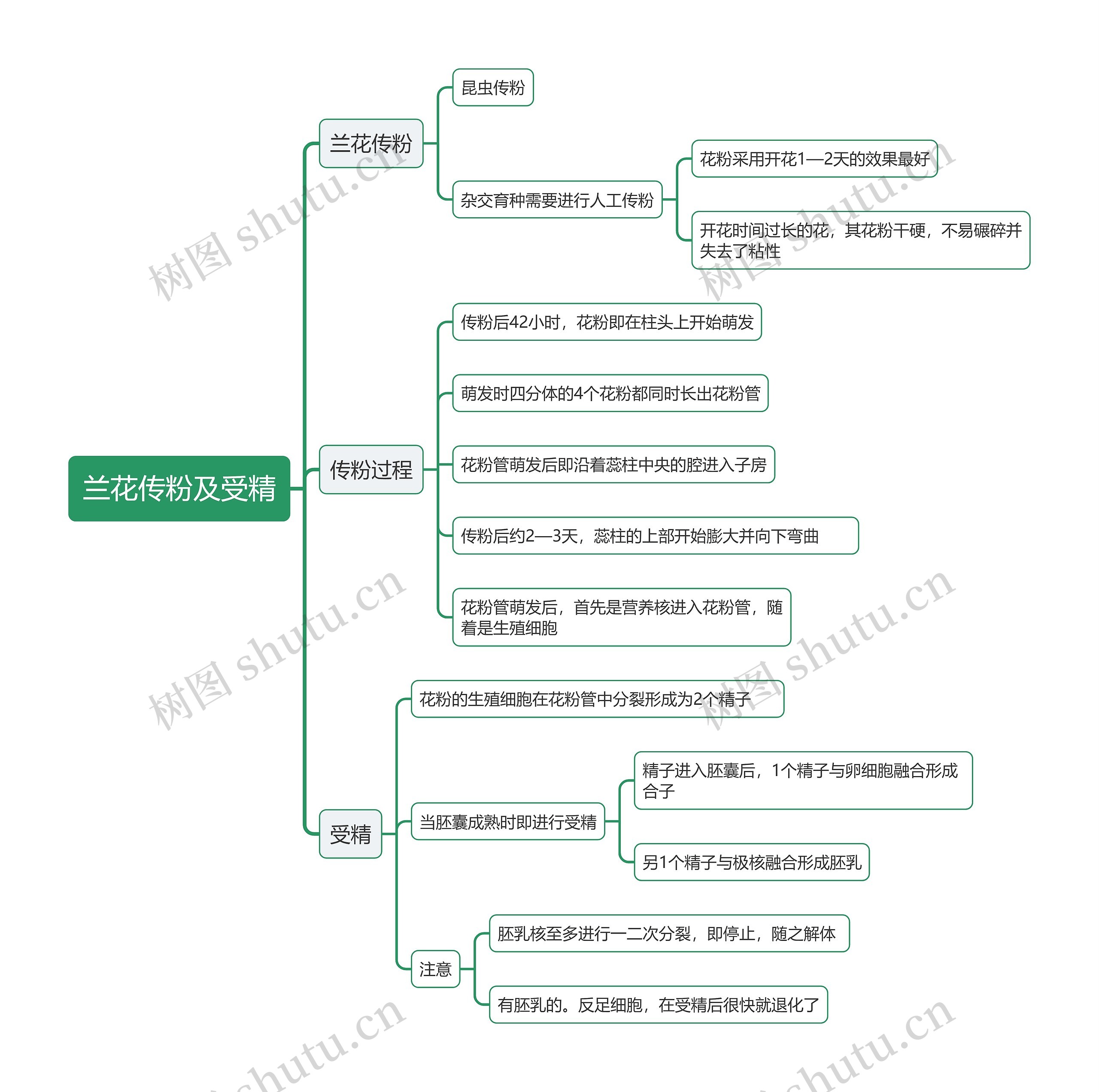 兰花传粉及受精思维导图