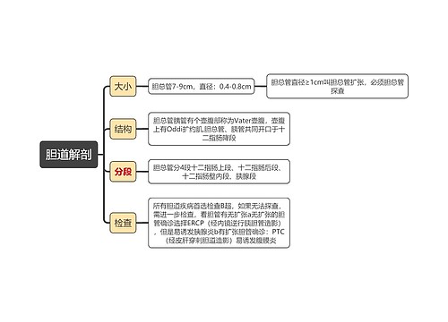 医学知识胆道解剖思维导图