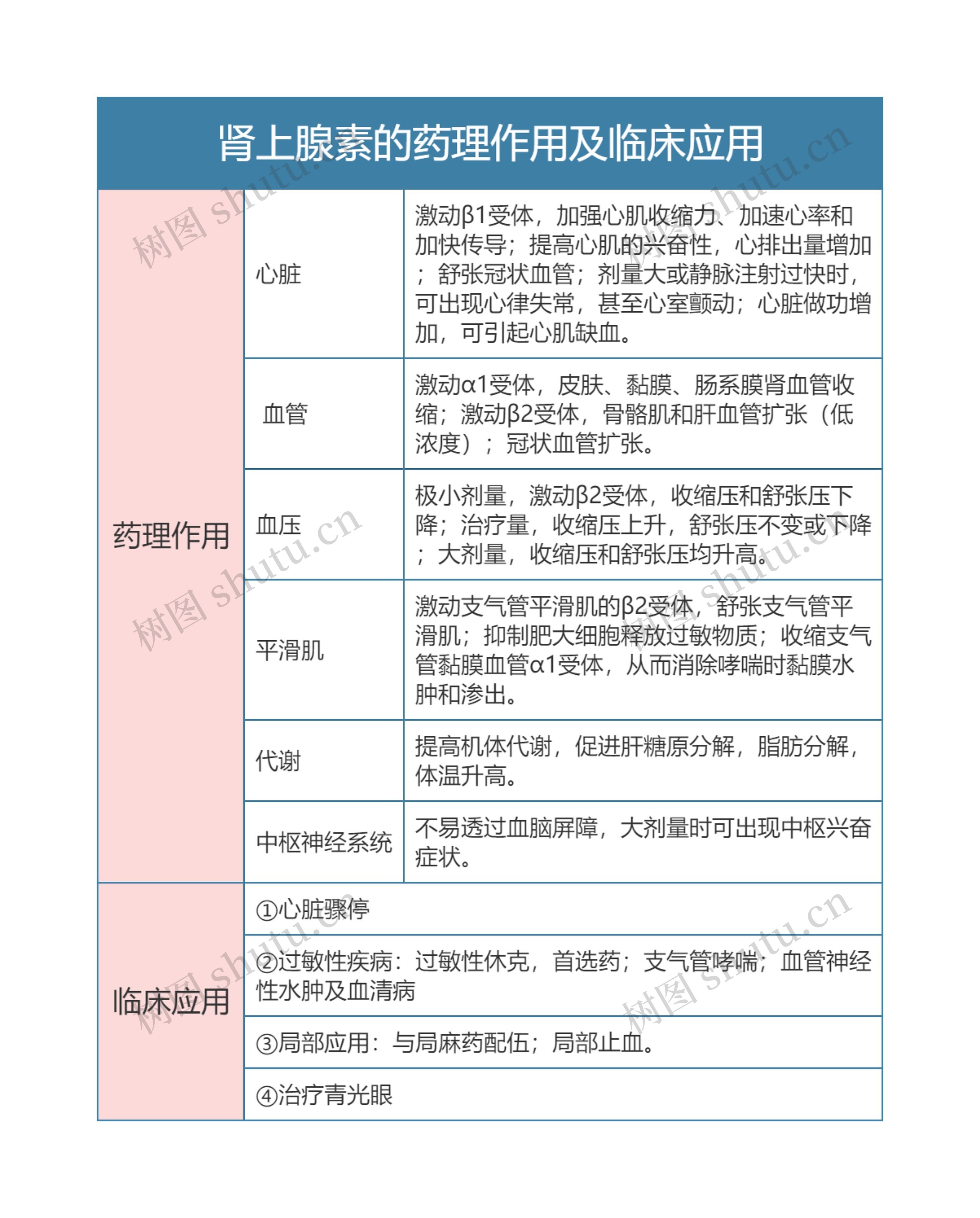 药理学  肾上腺素的药理作用及临床应用思维导图