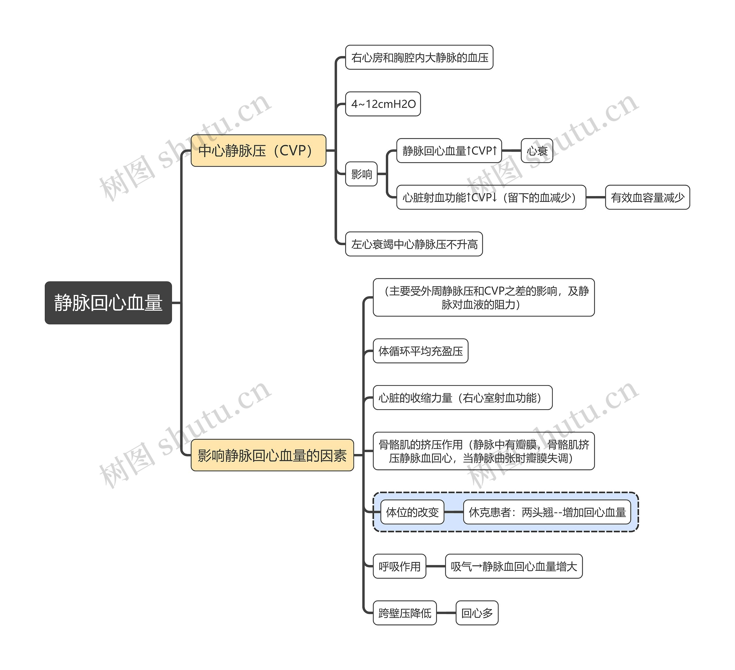 医学知识静脉回心血量思维导图