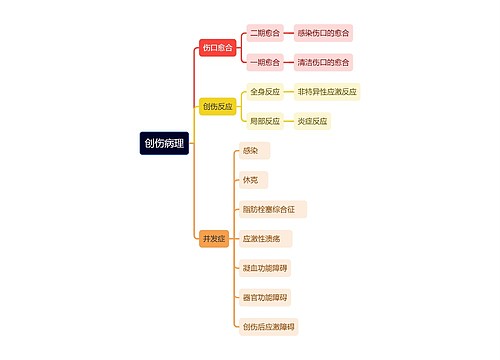 医学知识创伤病理思维导图