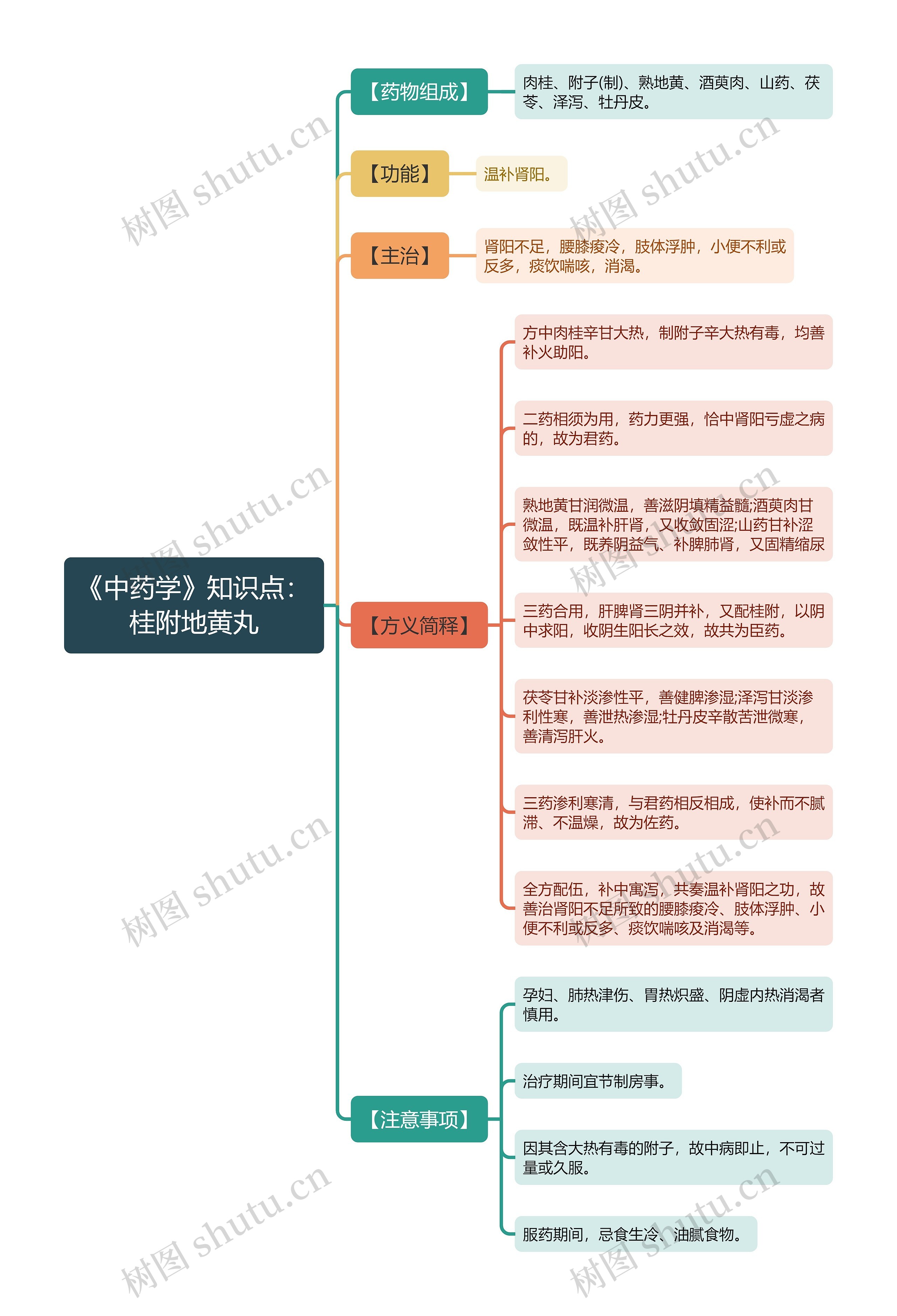 《中药学》知识点：桂附地黄丸