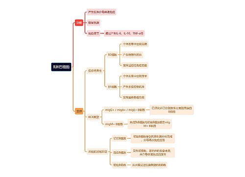 医学知识B淋巴细胞思维导图