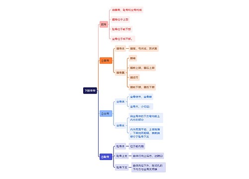 解剖学知识下肢带骨思维导图