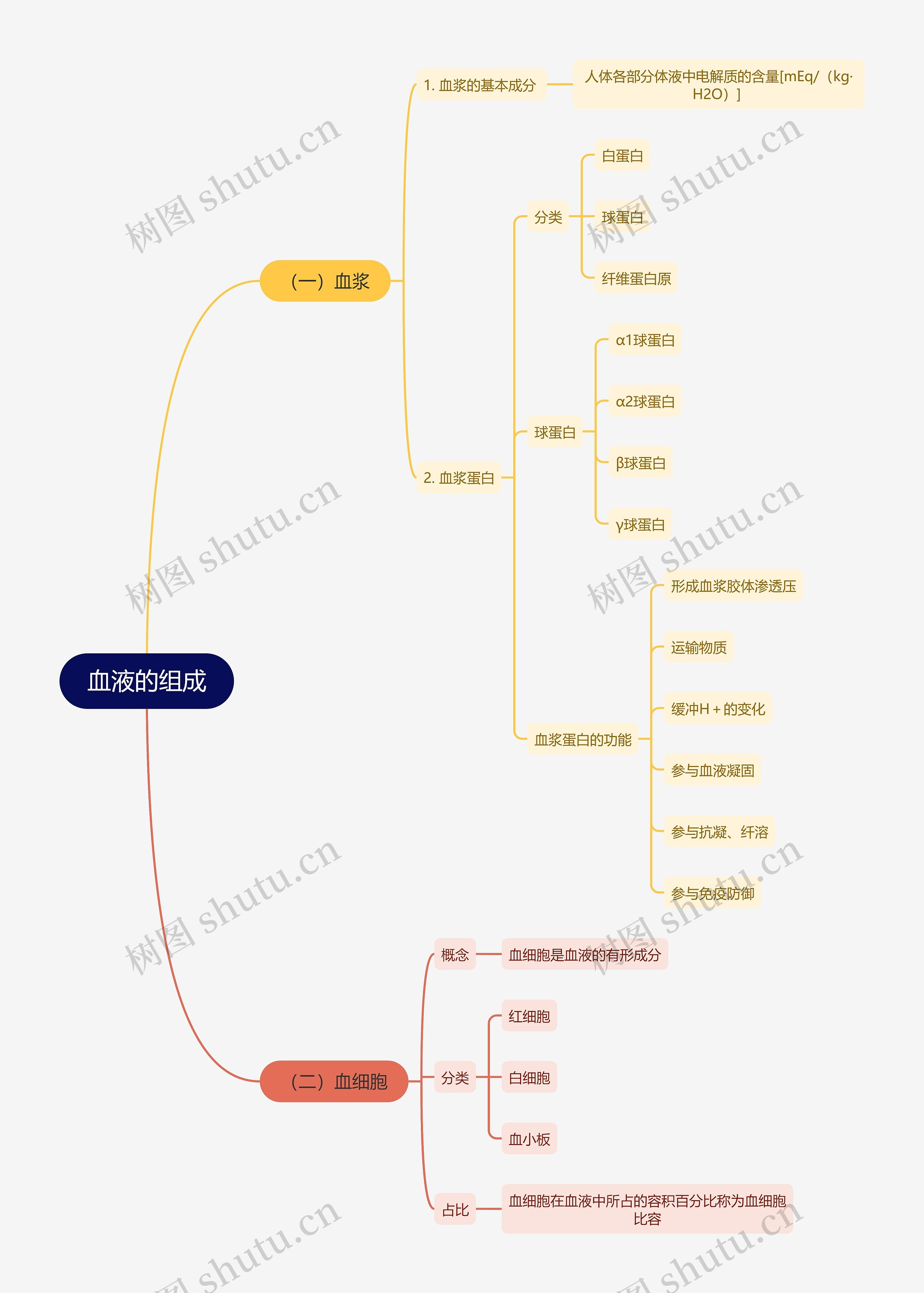 医学知识血液的组成思维导图