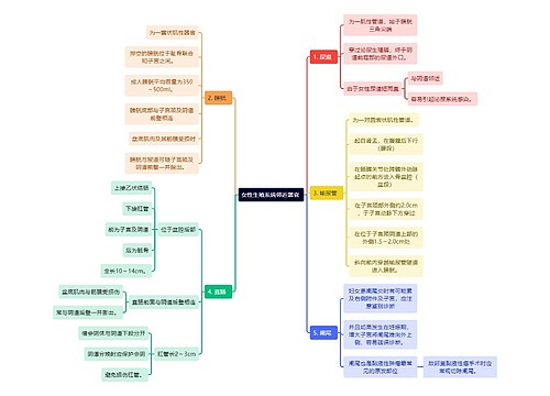 医学知识女性生殖系统邻近器官 思维导图