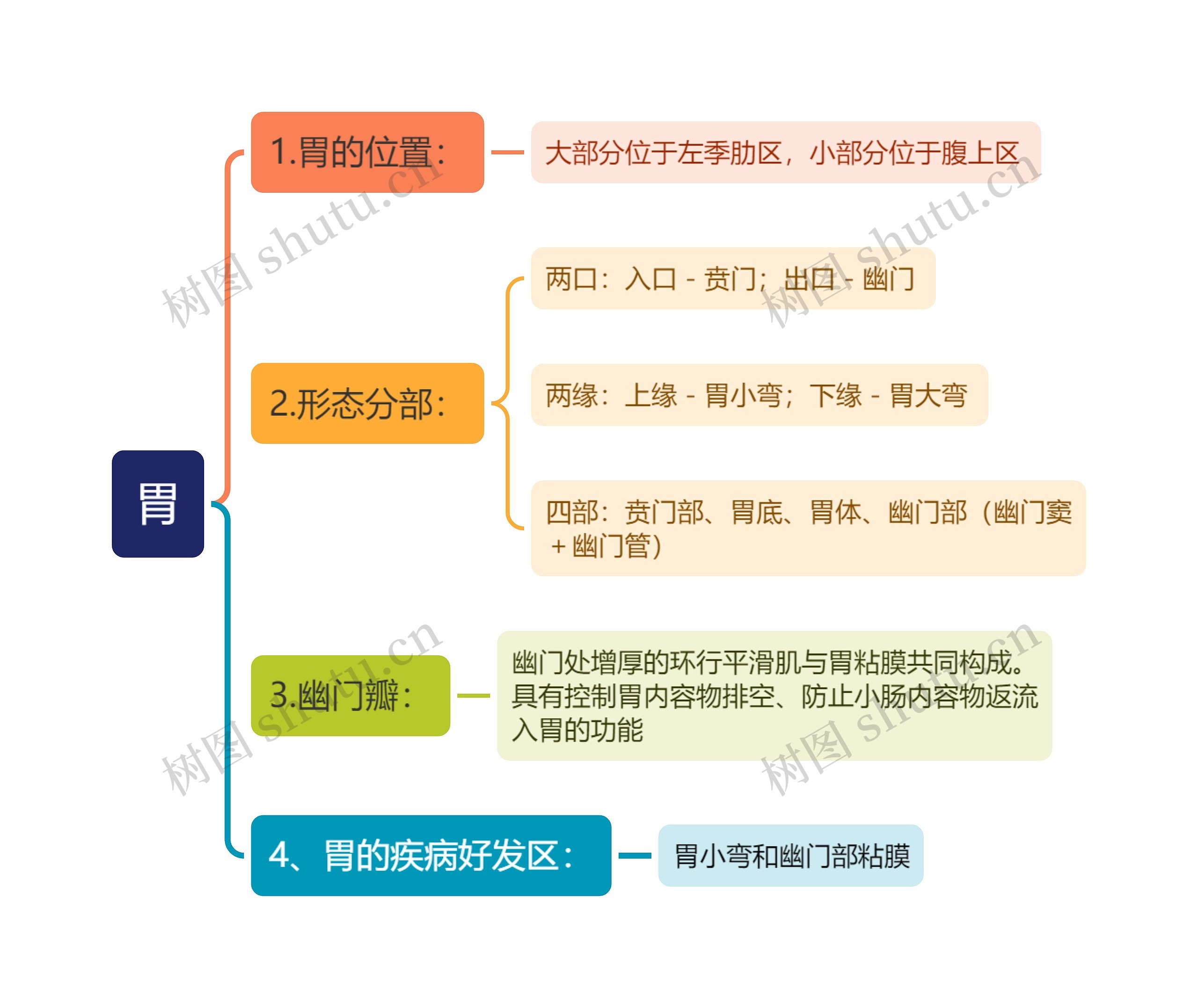 胃思维导图