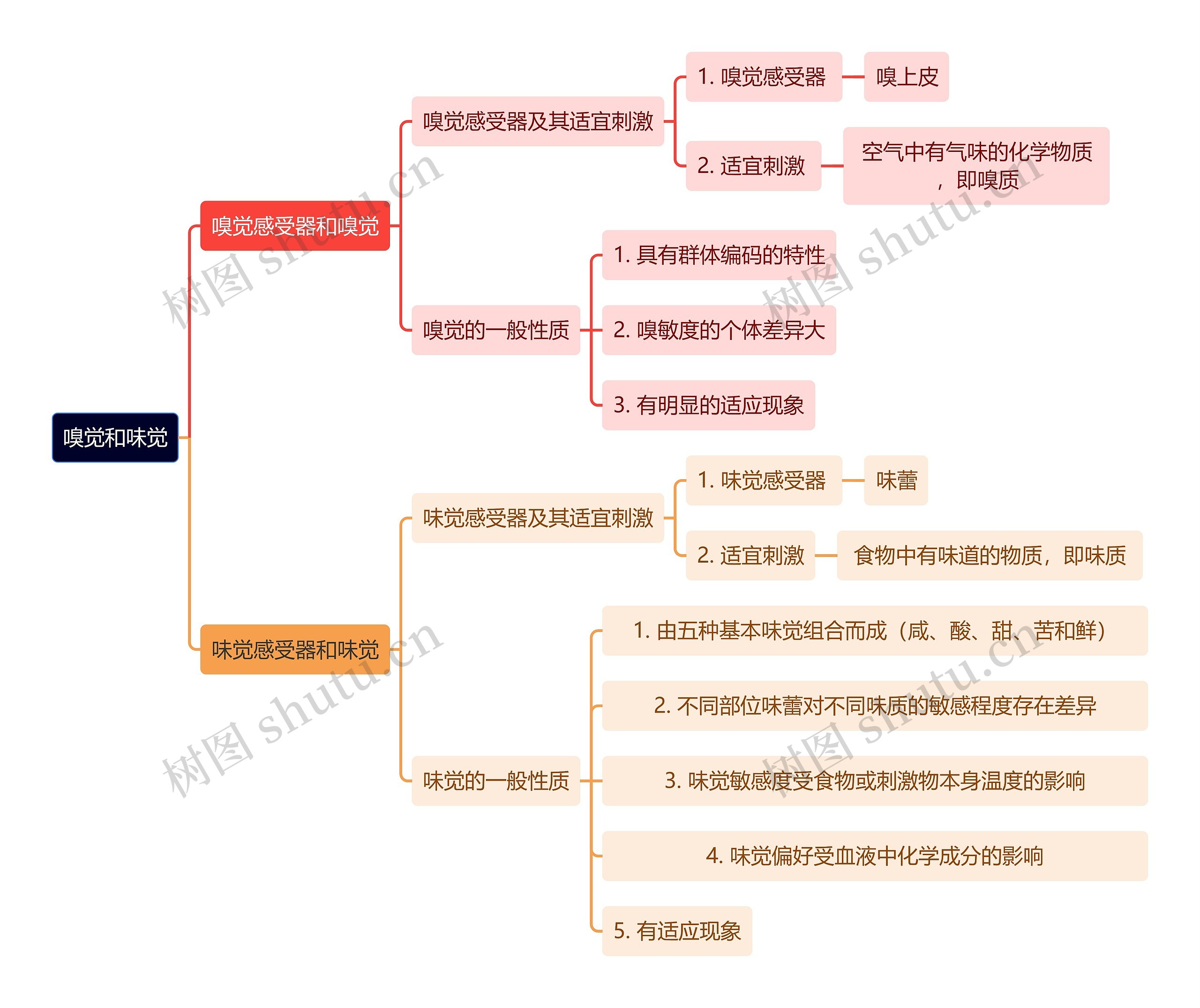 医学知识嗅觉和味觉思维导图