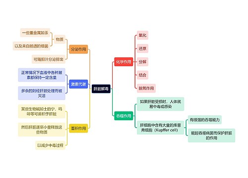 医学知识肝脏解毒思维导图