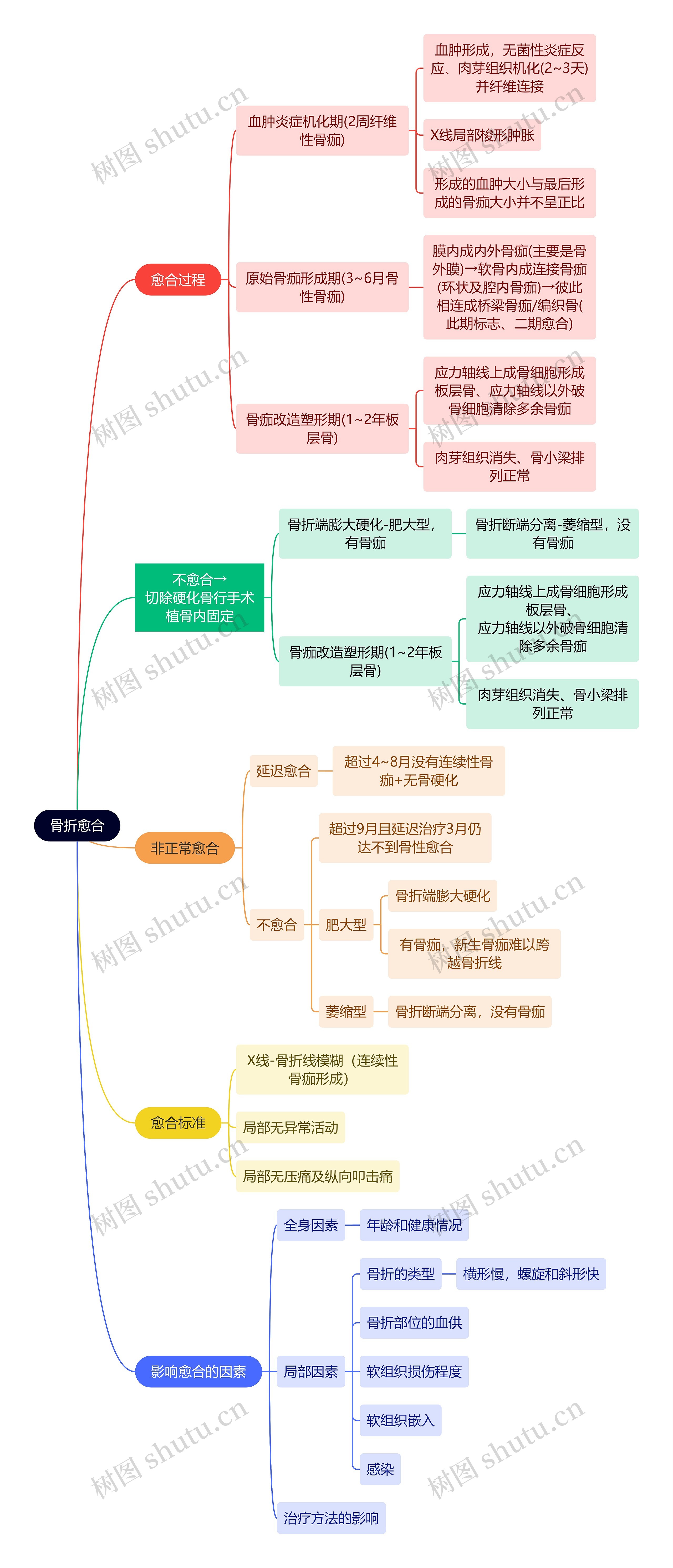 骨学知识骨折愈合思维导图