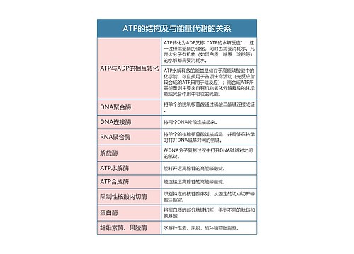 高中生物必修一ATP的结构及与能量代谢的关系思维导图