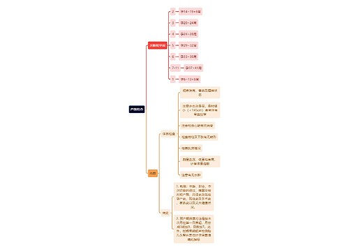 医学知识产前检查思维导图