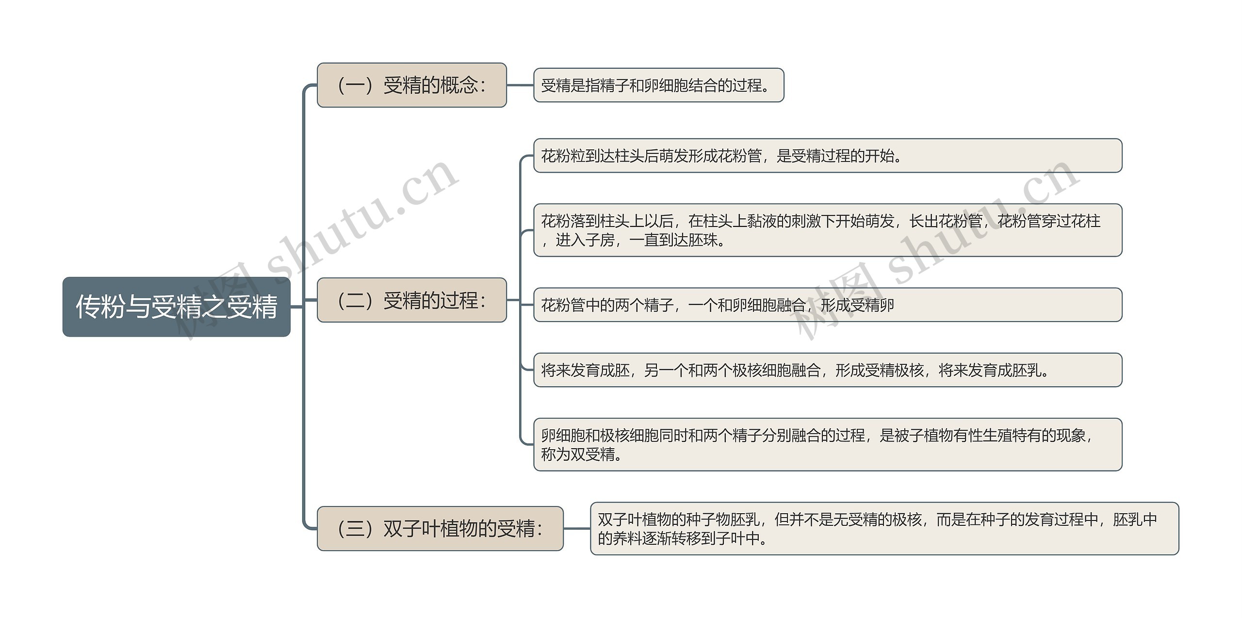 传粉与受精之受精