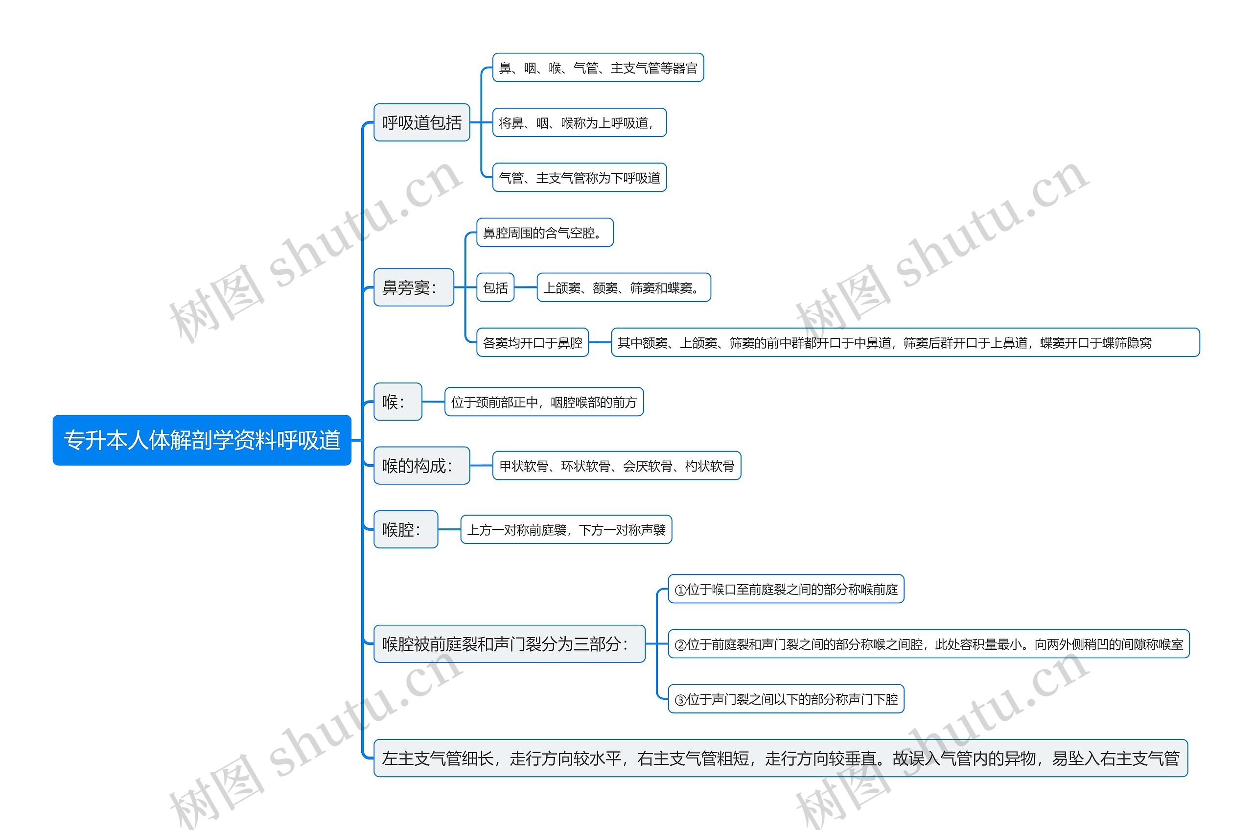 专升本人体解剖学资料呼吸道