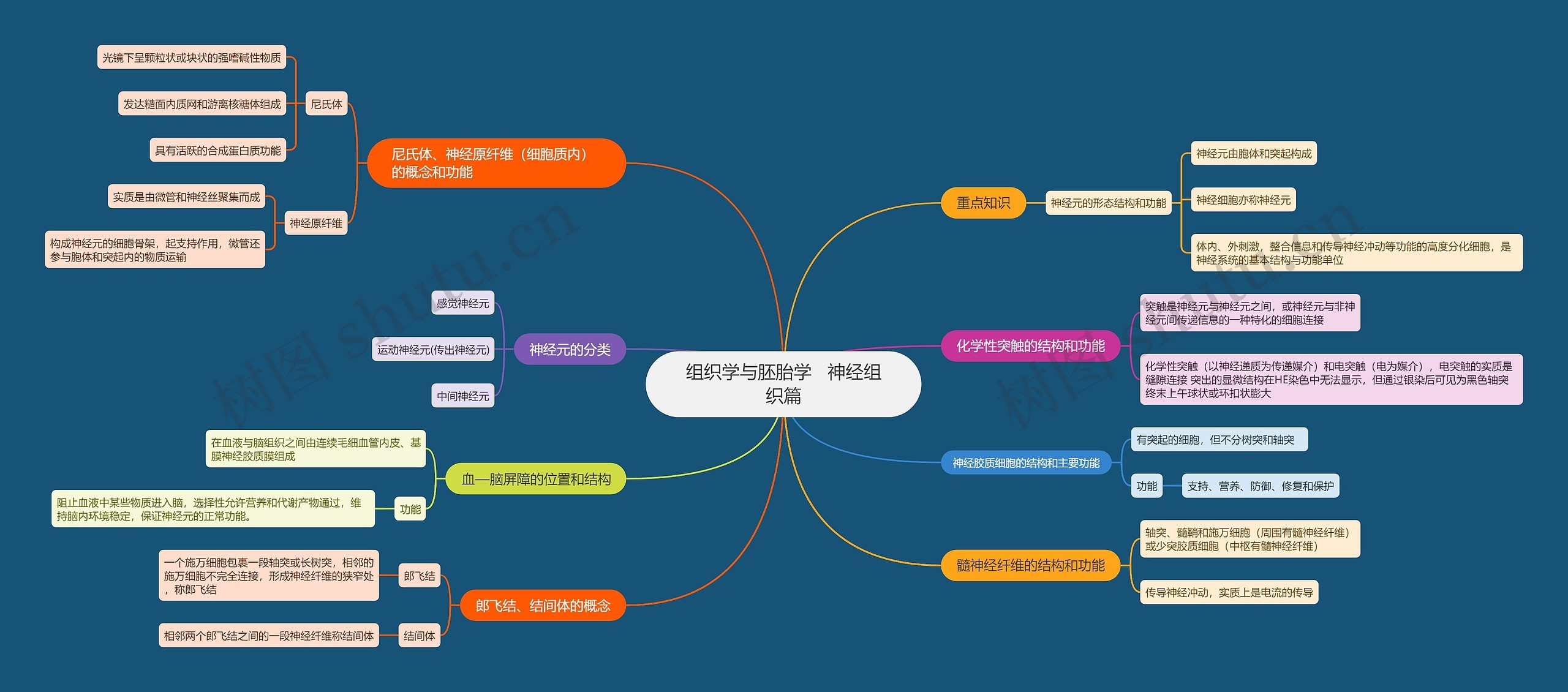 组织学与胚胎学神经组织篇思维导图