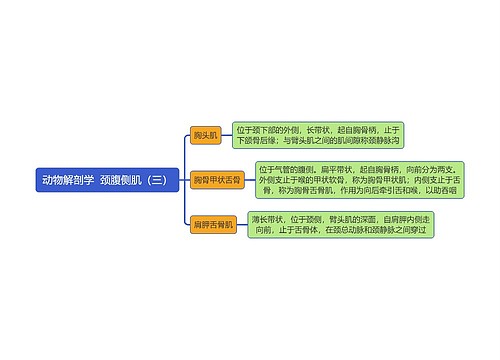 《动物解剖学  颈腹侧肌（三）》思维导图