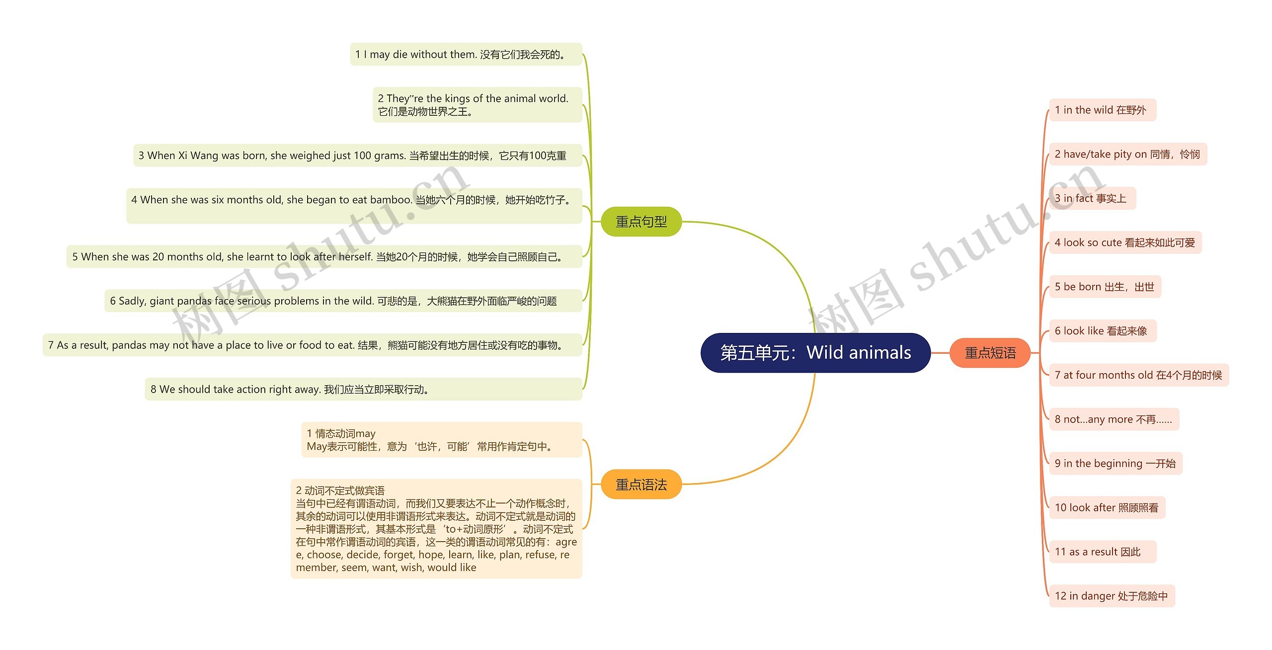 人教版英语八年级上册第五单元的思维导图