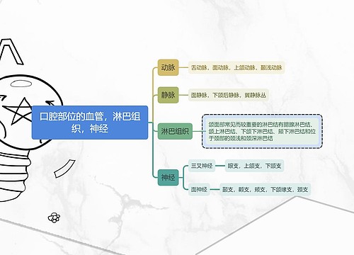 医学知识口腔部位的血管，淋巴组织，神经思维导图