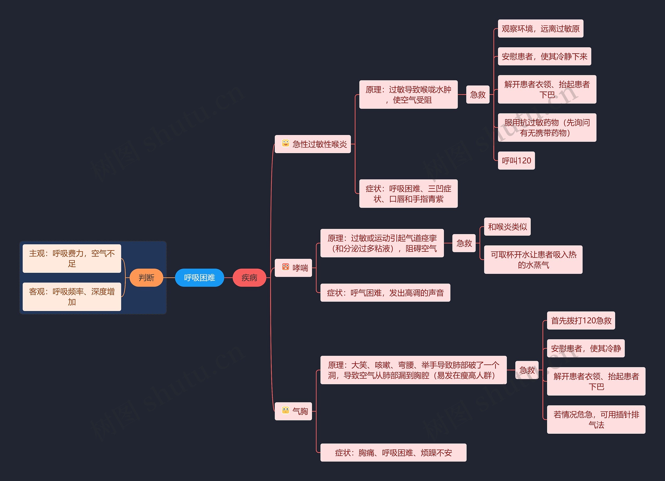 医学知识呼吸困难急救思维导图