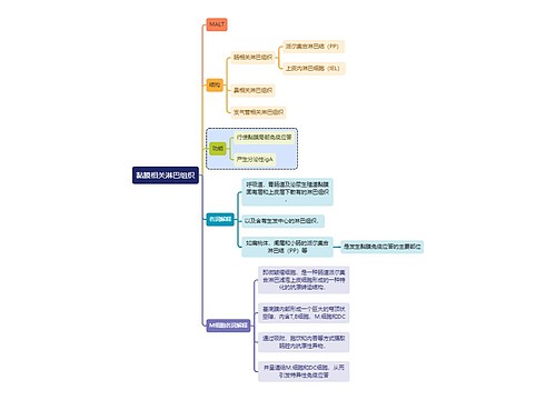 医学知识黏膜相关淋巴组织思维导图