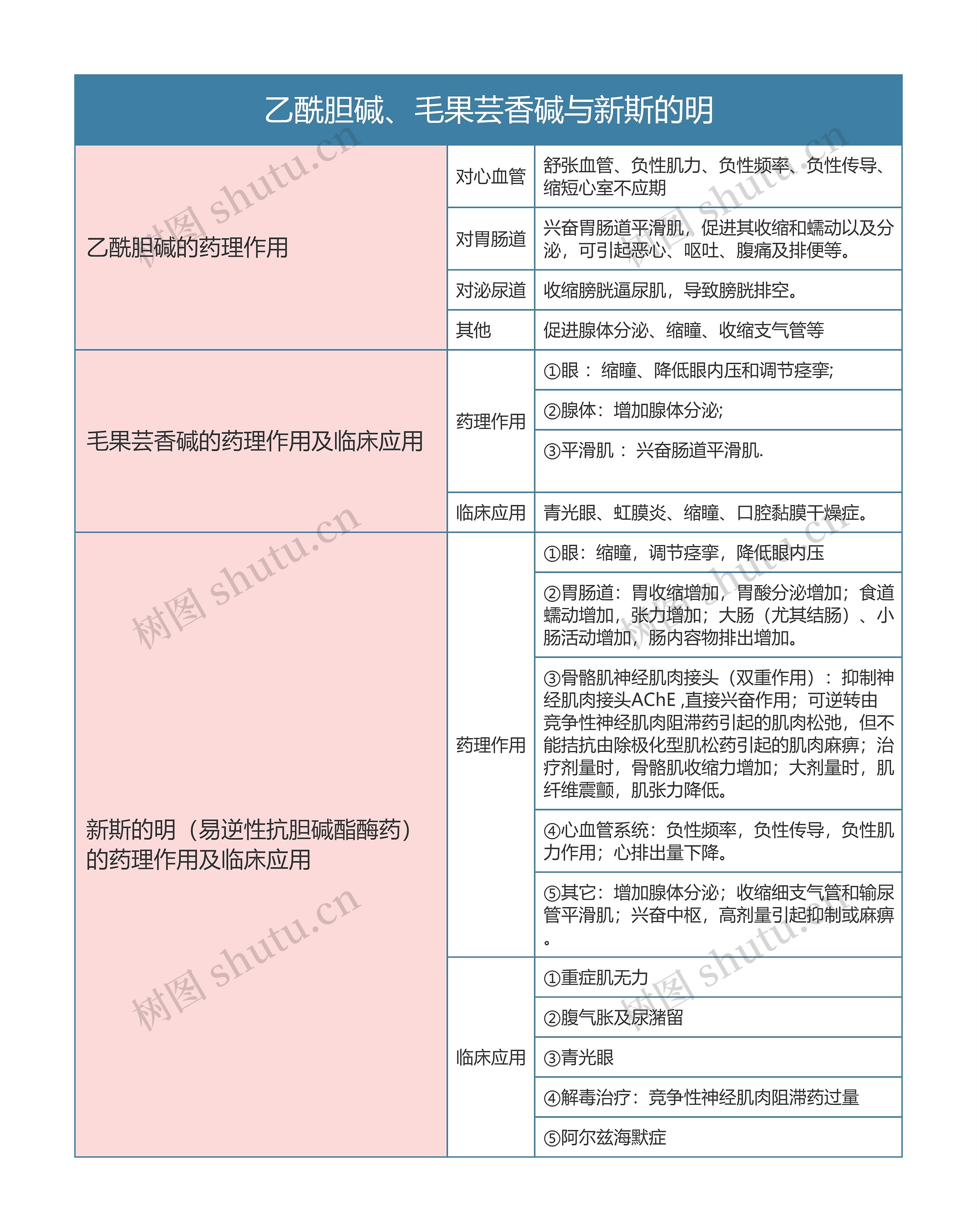 药理学  乙酰胆碱、毛果芸香碱与新斯的明思维导图