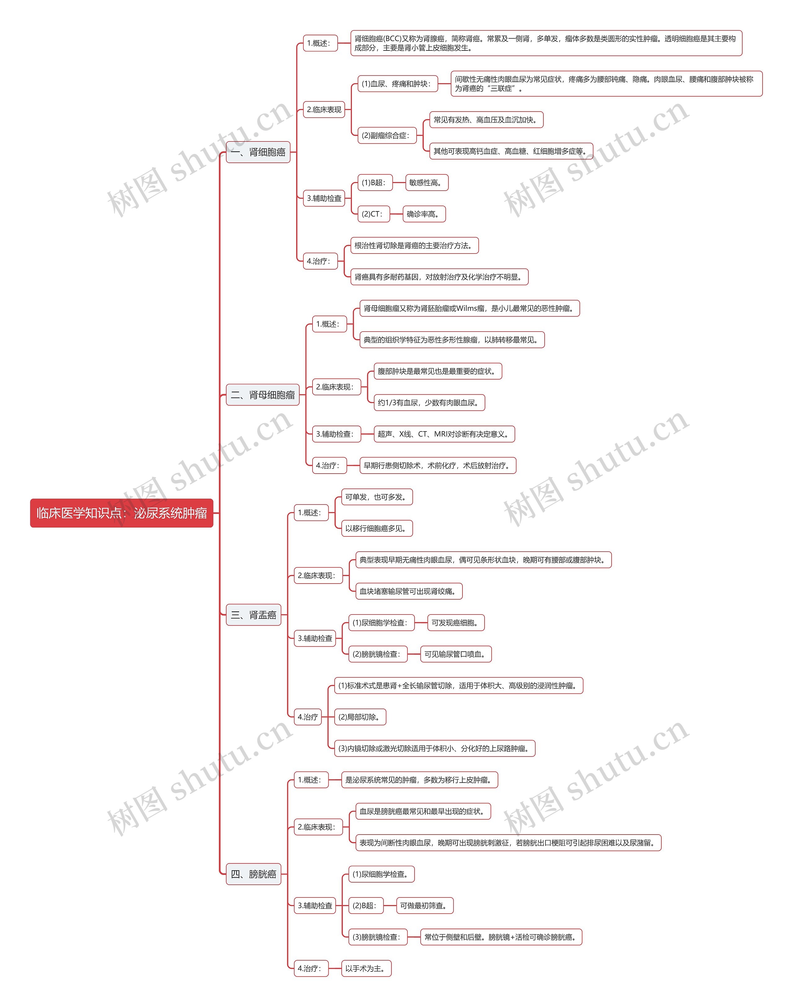 临床医学知识点：泌尿系统肿瘤思维导图