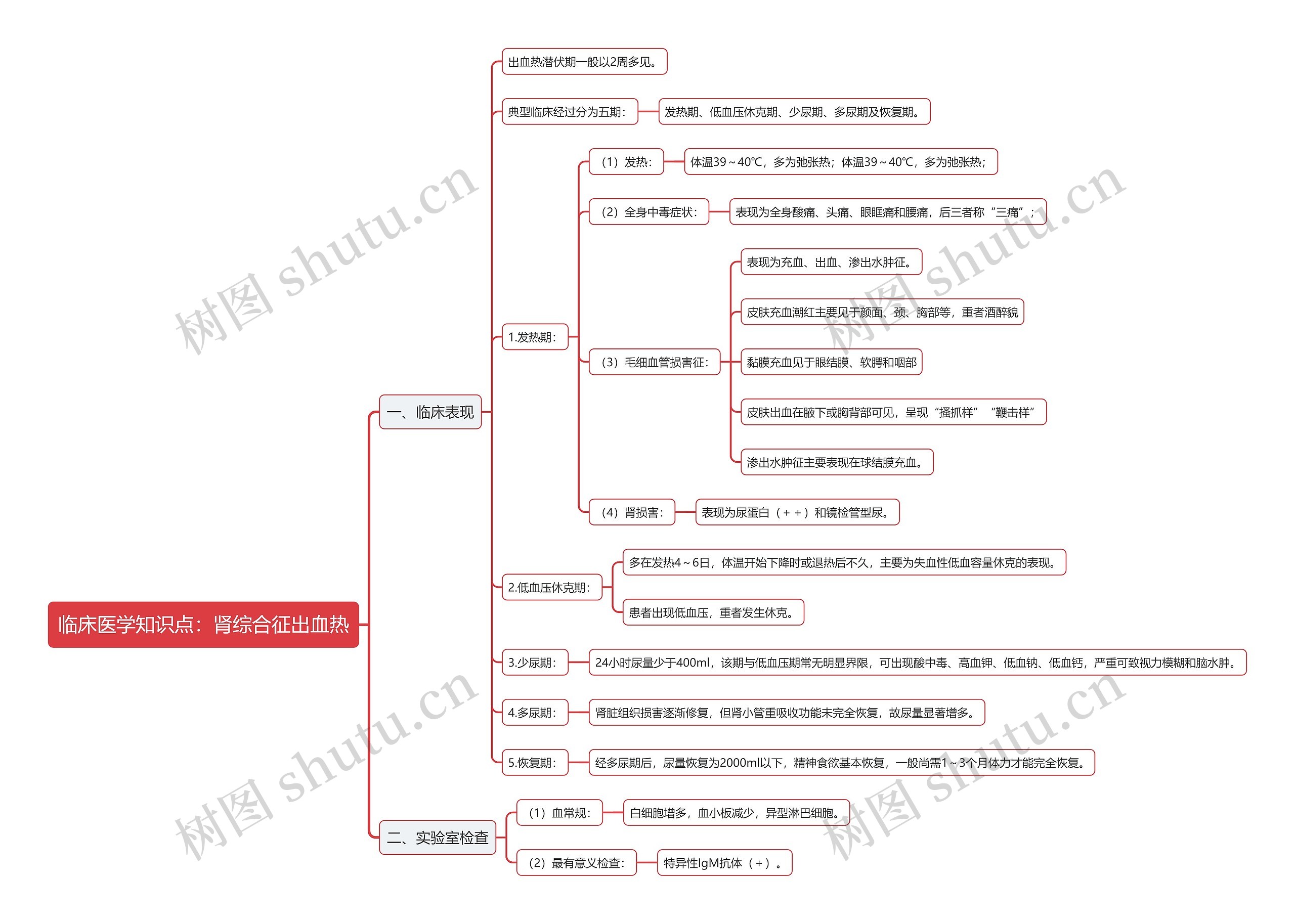 临床医学知识点：肾综合征出血热思维导图