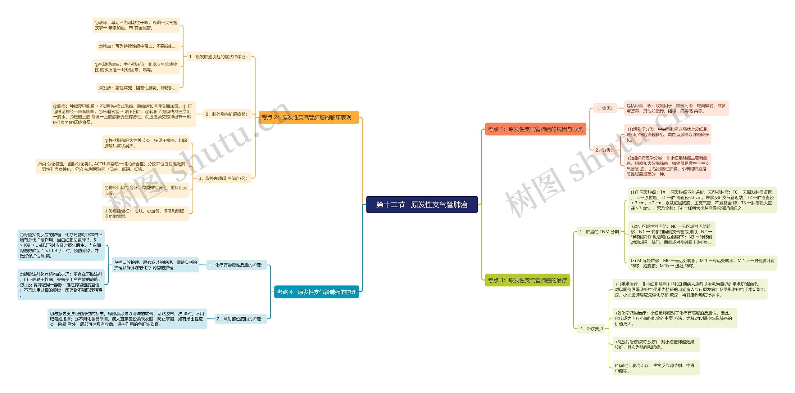 第十二节   原发性支气管肺癌思维导图