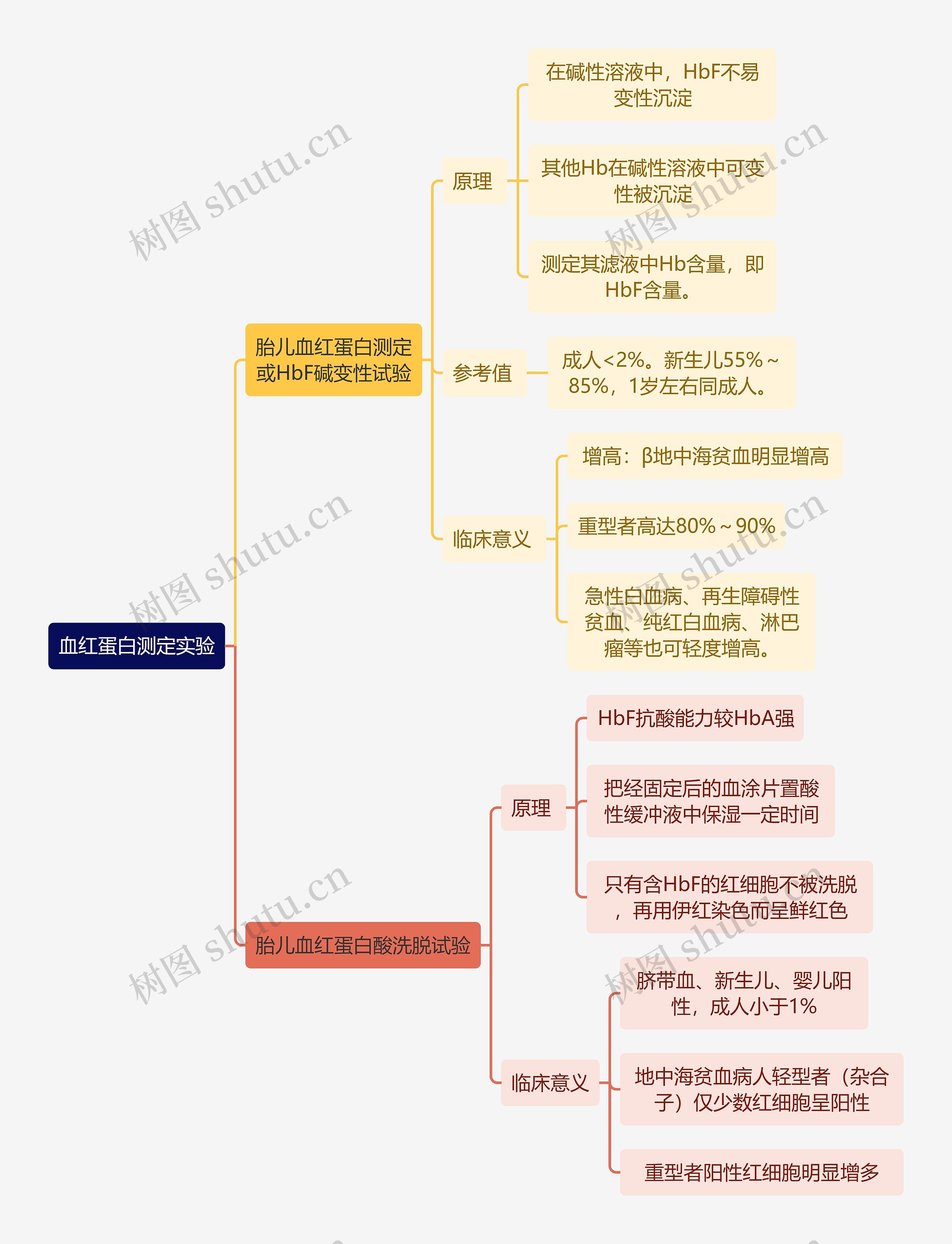 医学知识血红蛋白测定实验思维导图