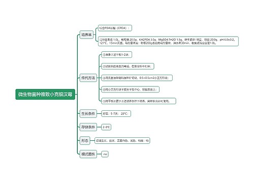 微生物菌种雅致小克银汉霉思维导图