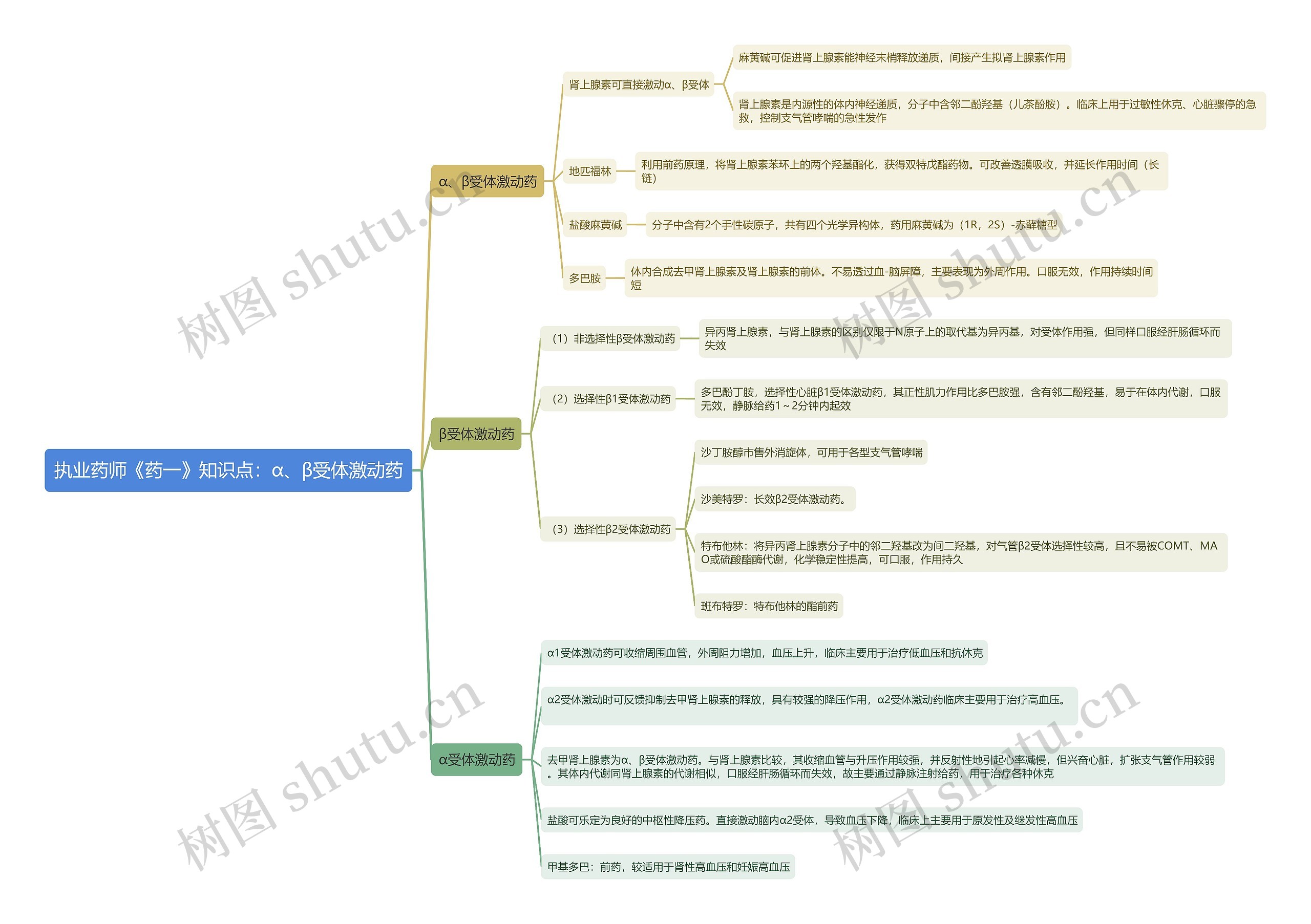 执业药师《药一》知识点：α、β受体激动药思维导图