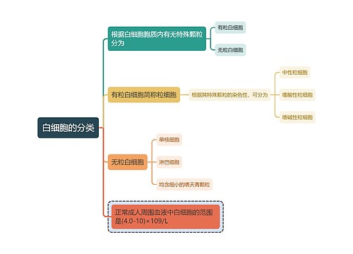 医学知识白细胞的分类思维导图