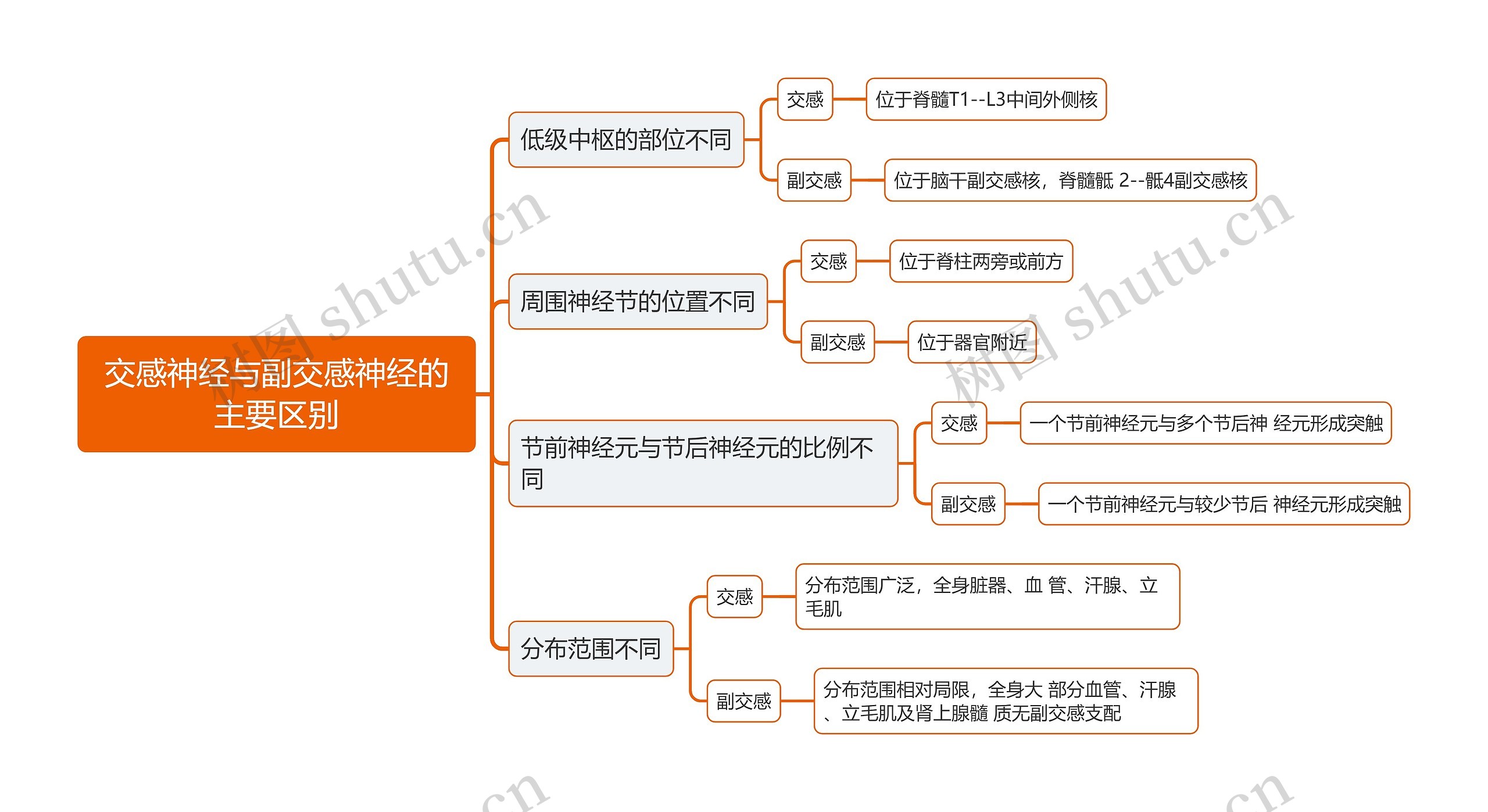 医学交感神经与副交感神经的主要区别思维导图