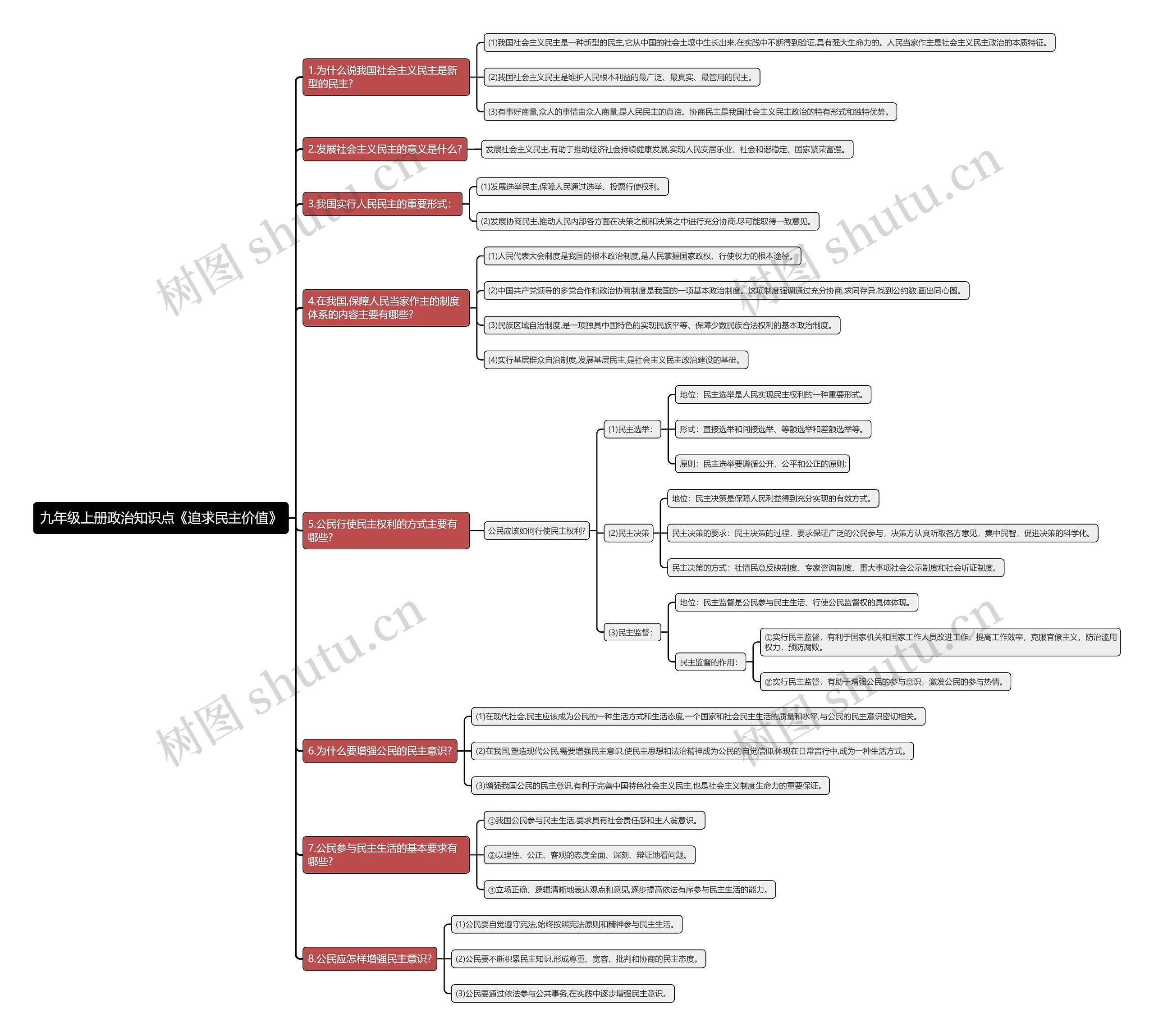 九年级上册政治知识点《追求民主价值》思维导图