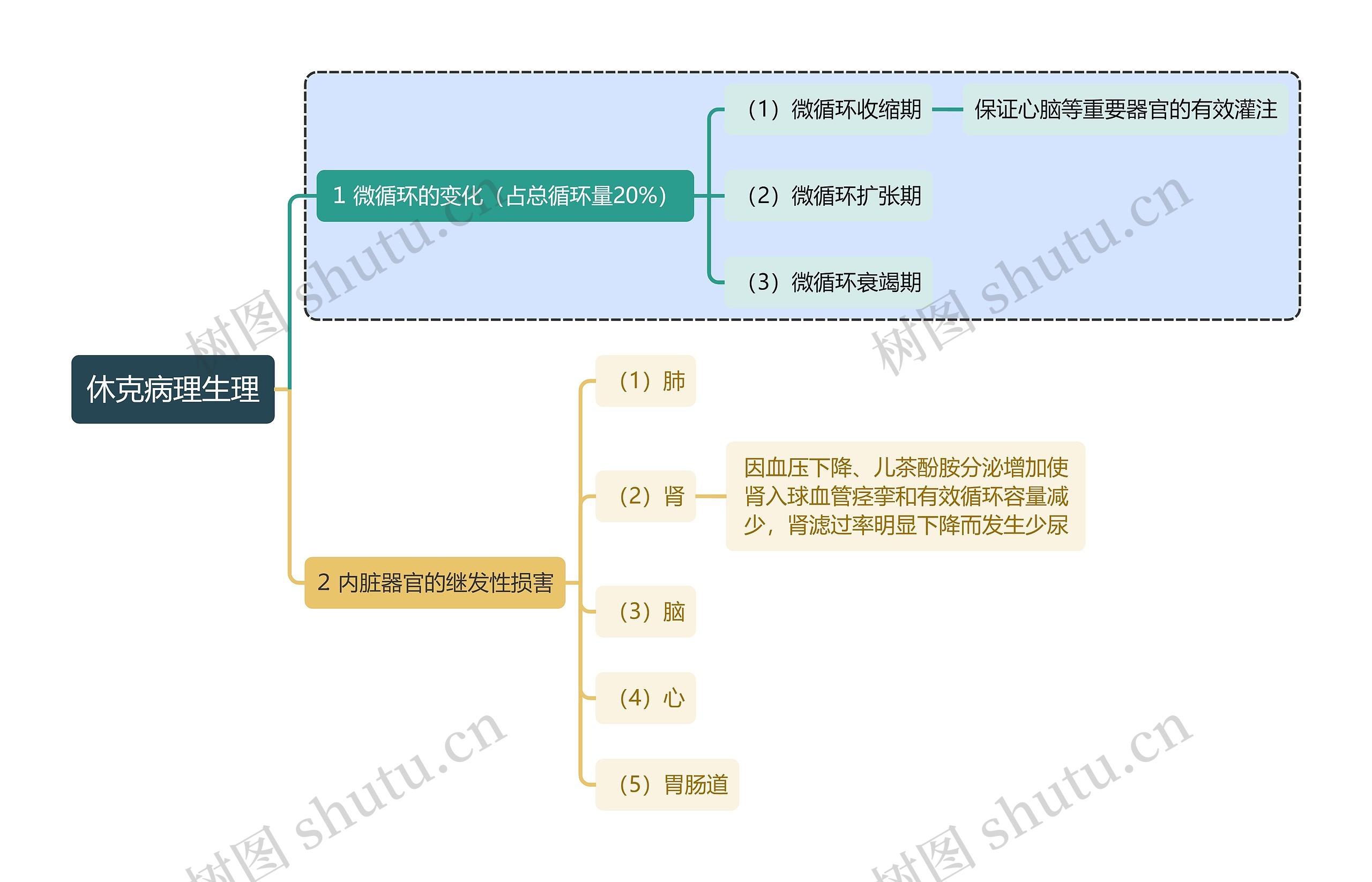 休克病理生理思维导图