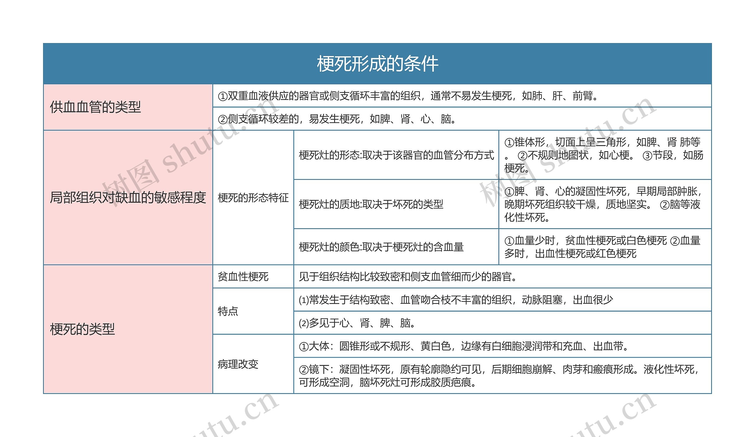 病理学  梗死形成的条件思维导图