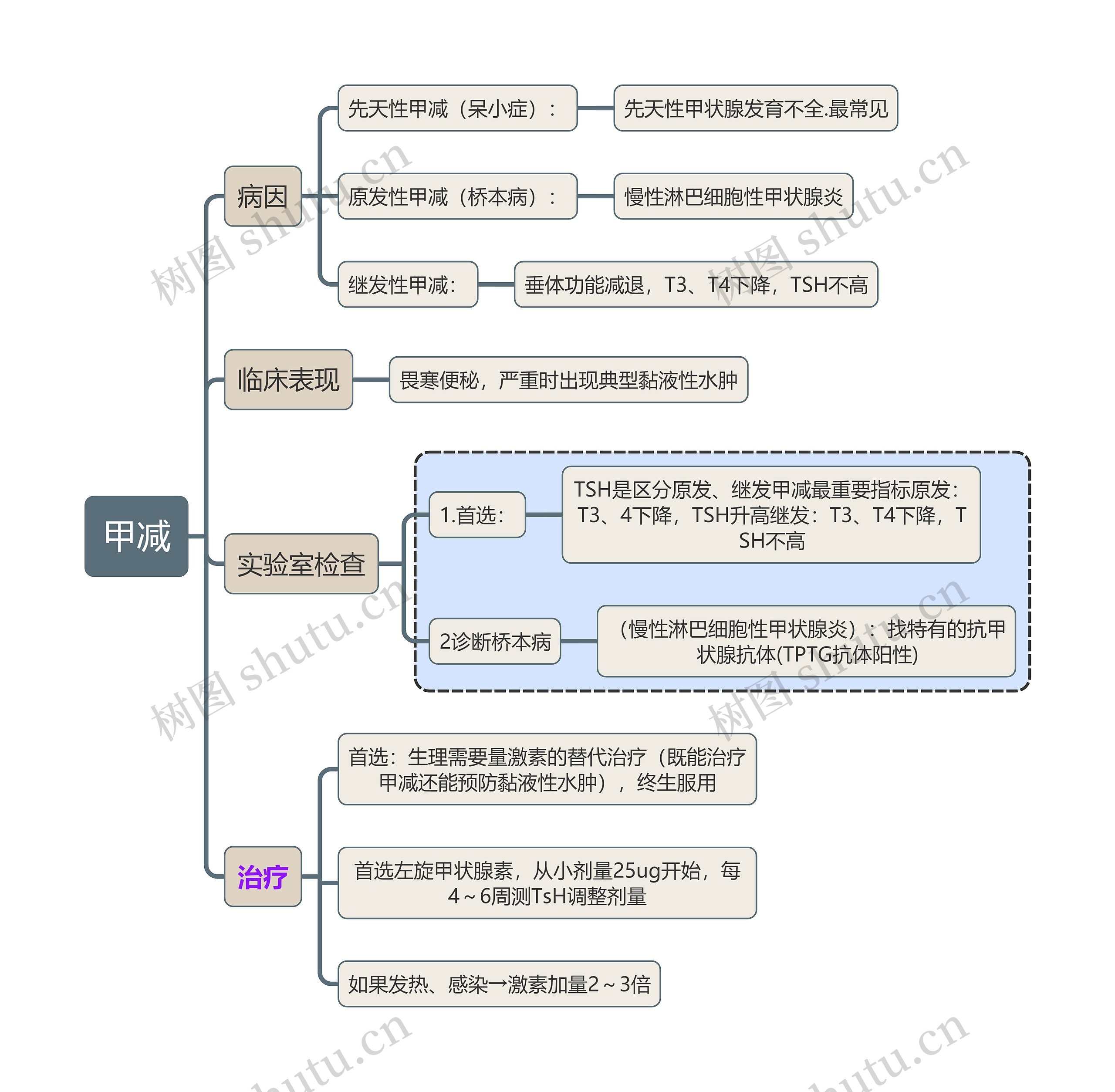 内科学知识甲减思维导图