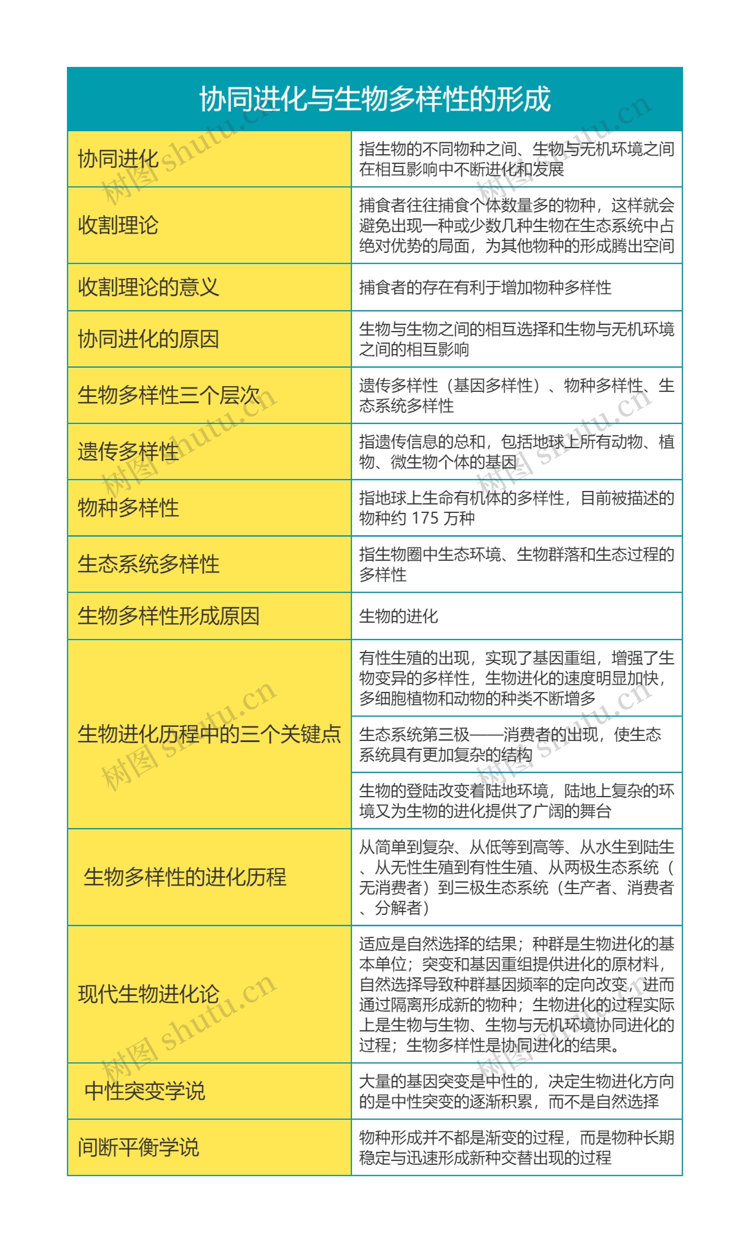 高中生物必修二第六单元协同进化与生物多样性的形成思维导图