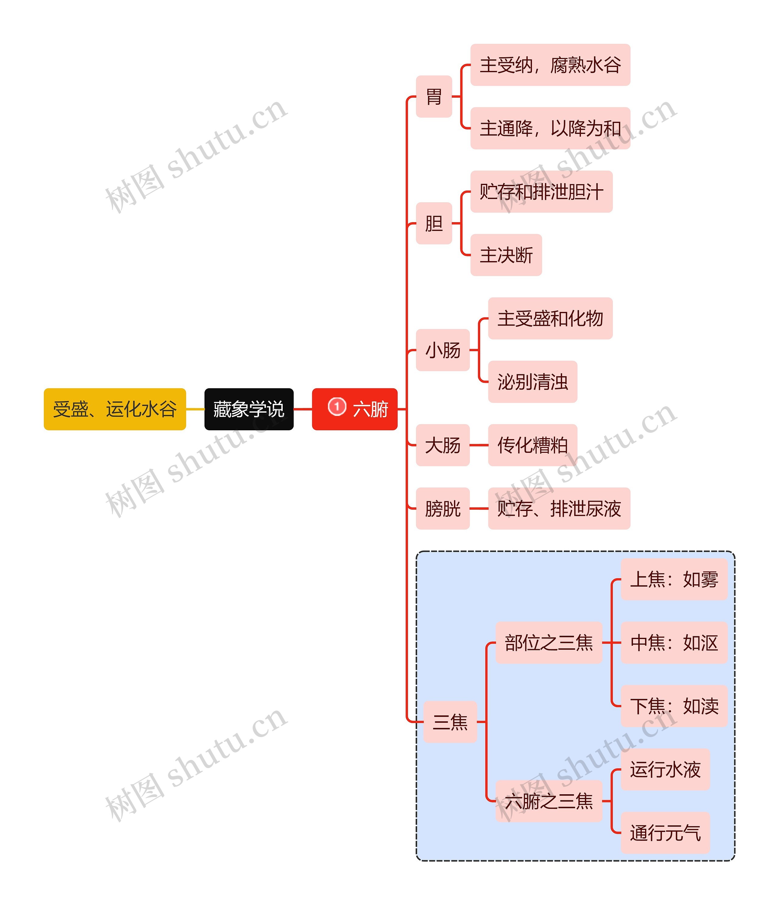 医学知识藏象学说六腑思维导图