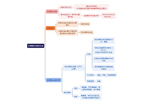 医学知识红细胞的功能和生成思维导图