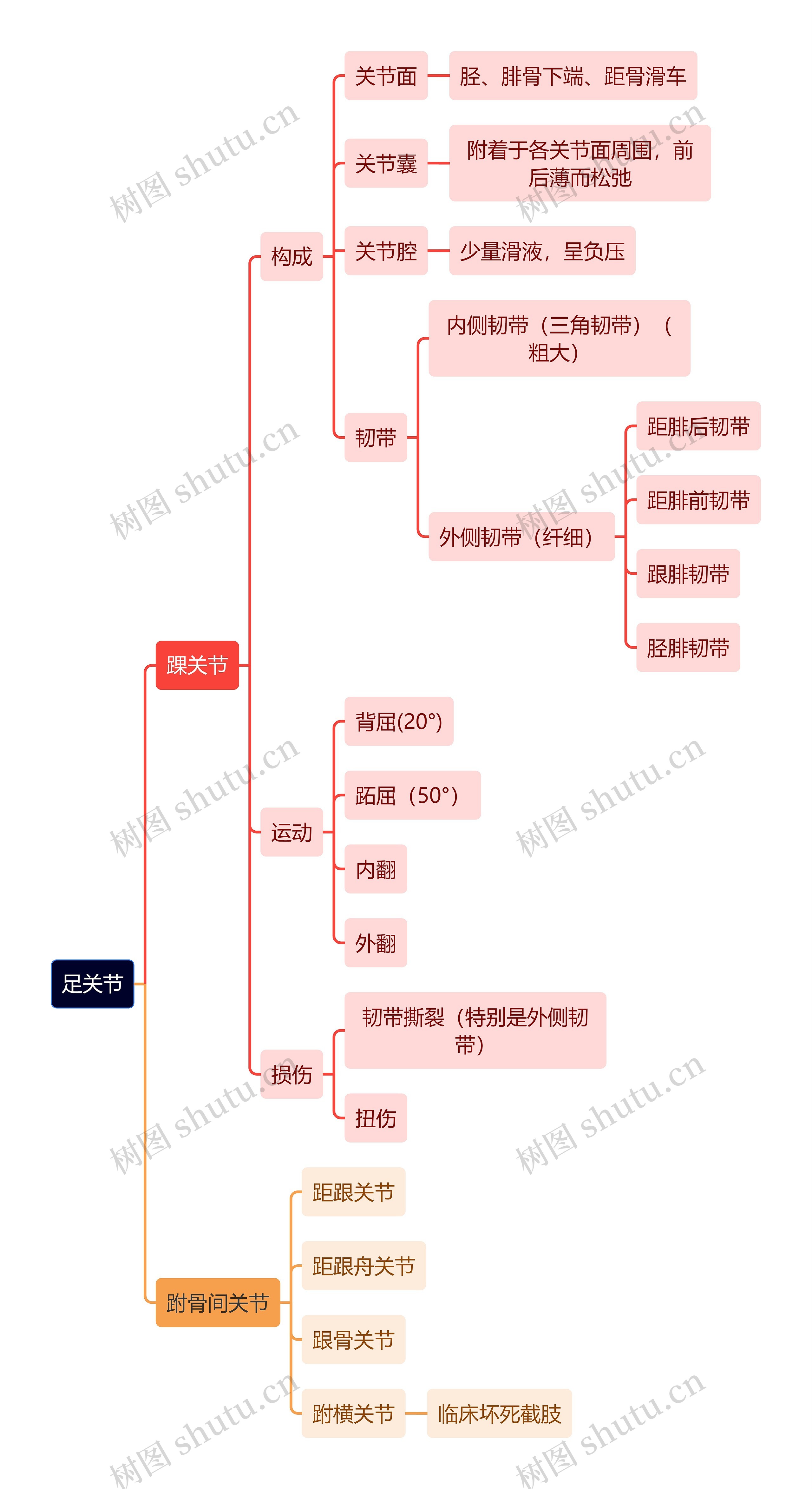 解剖学知识足关节思维导图
