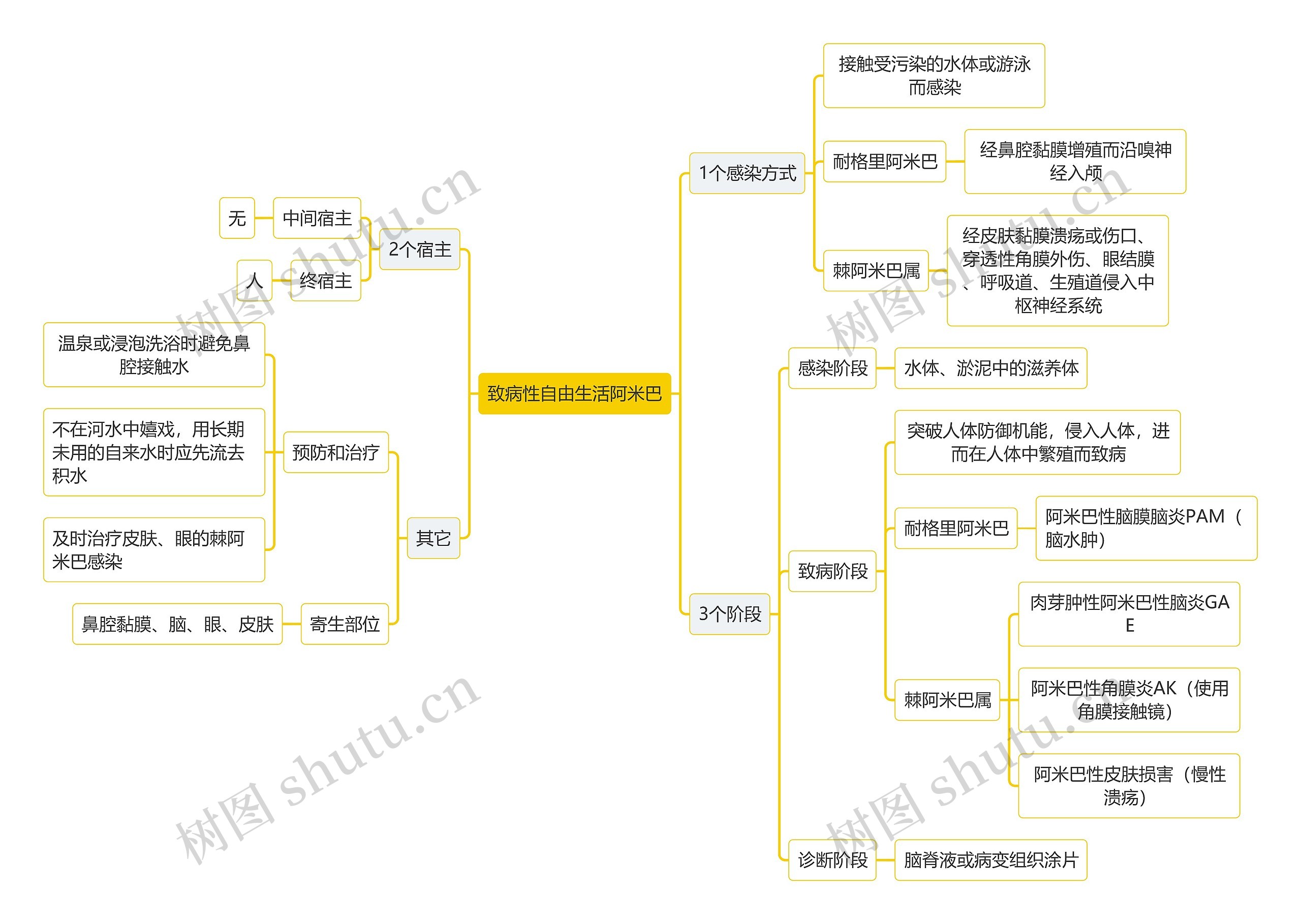 医学知识致病性自由生活阿米巴思维导图