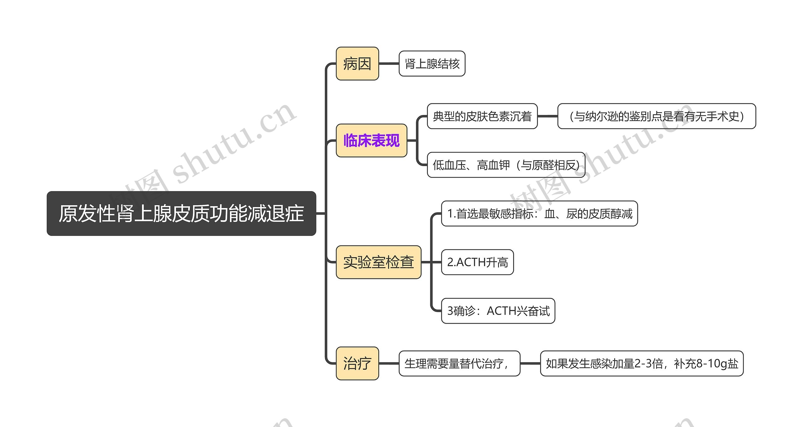 内科学知识原发性肾上腺皮质功能减退症思维导图