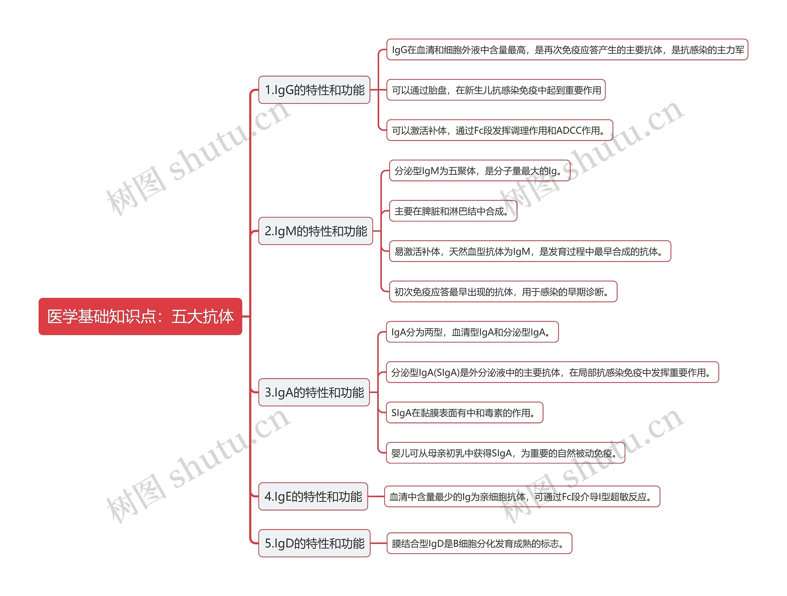 医学基础知识点：五大抗体思维导图