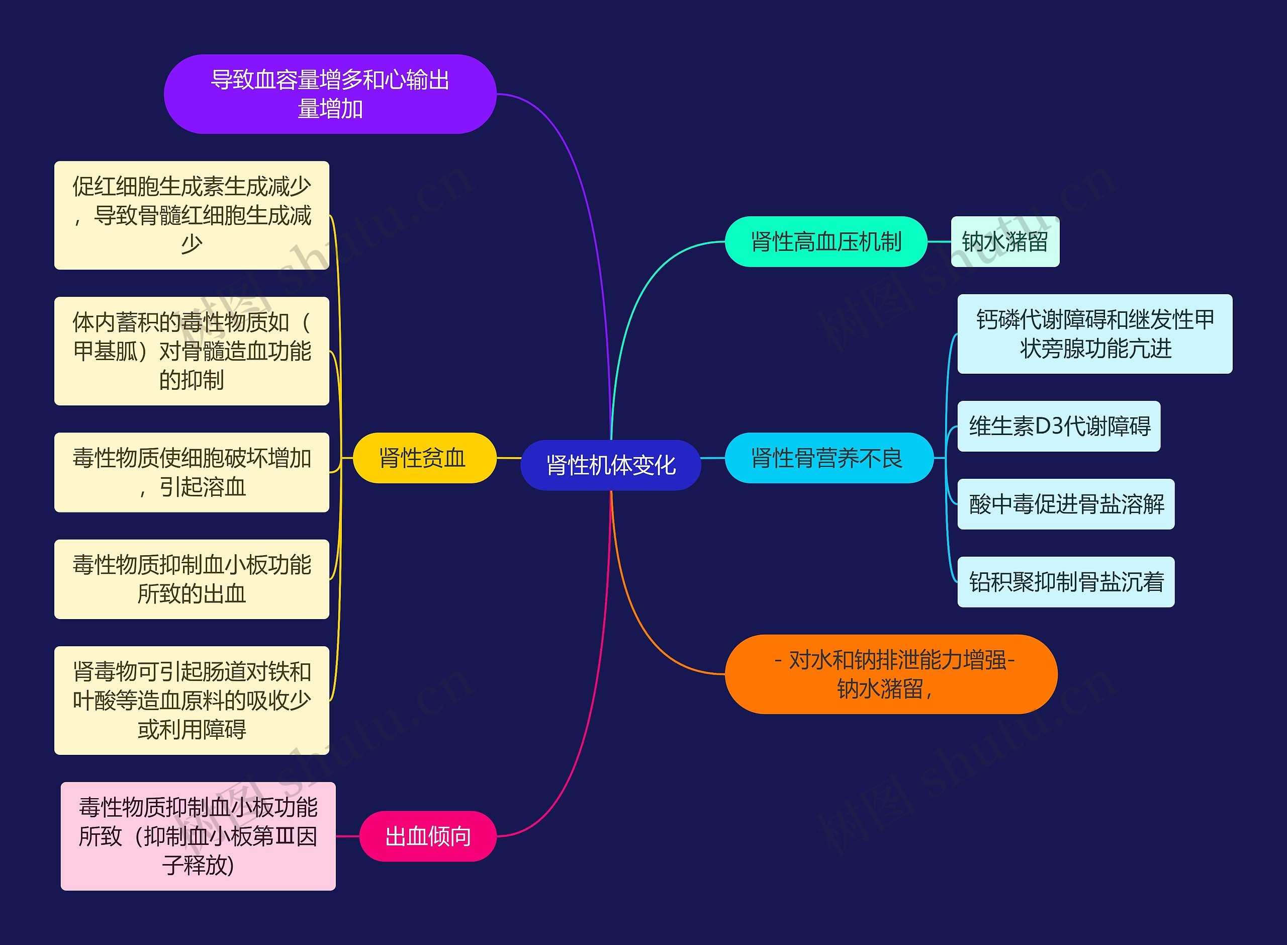 医学知识肾性机体变化思维导图