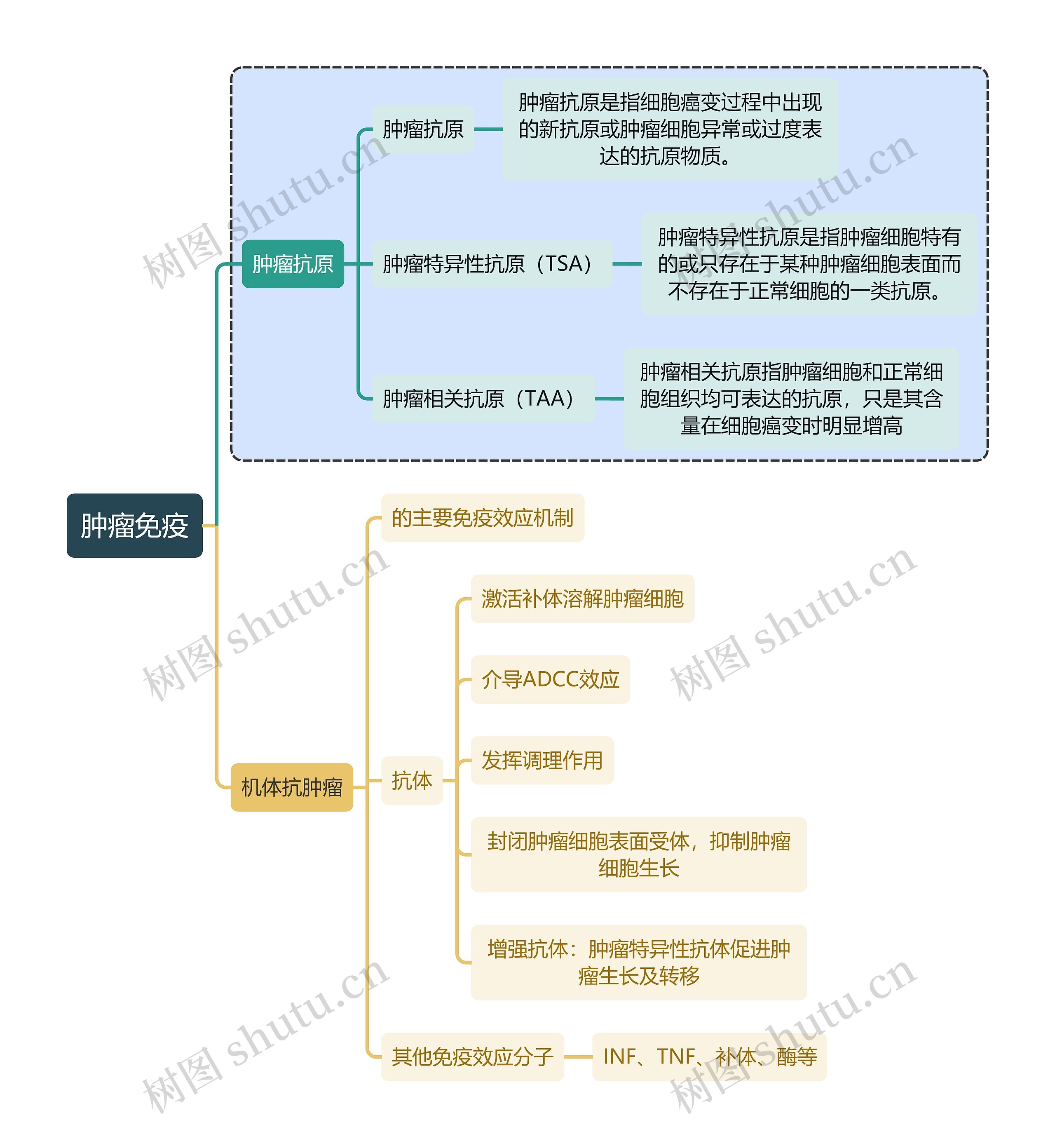 医学知识肿瘤免疫思维导图